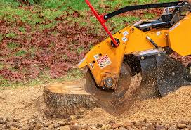 Best Firewood Processing and Delivery  in North Judson, IN