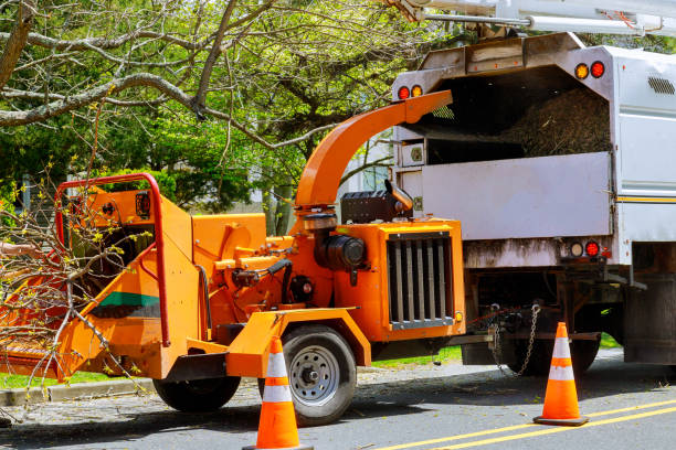 Leaf Removal in North Judson, IN